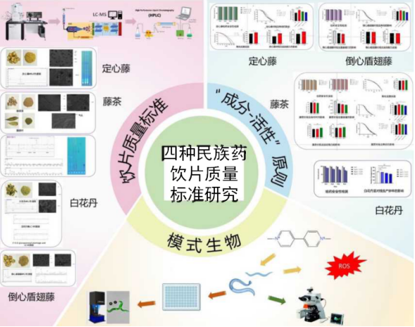普洱良品益康藥業有限公司與同濟大學合作提升民族藥研發水平和企業創新能力
